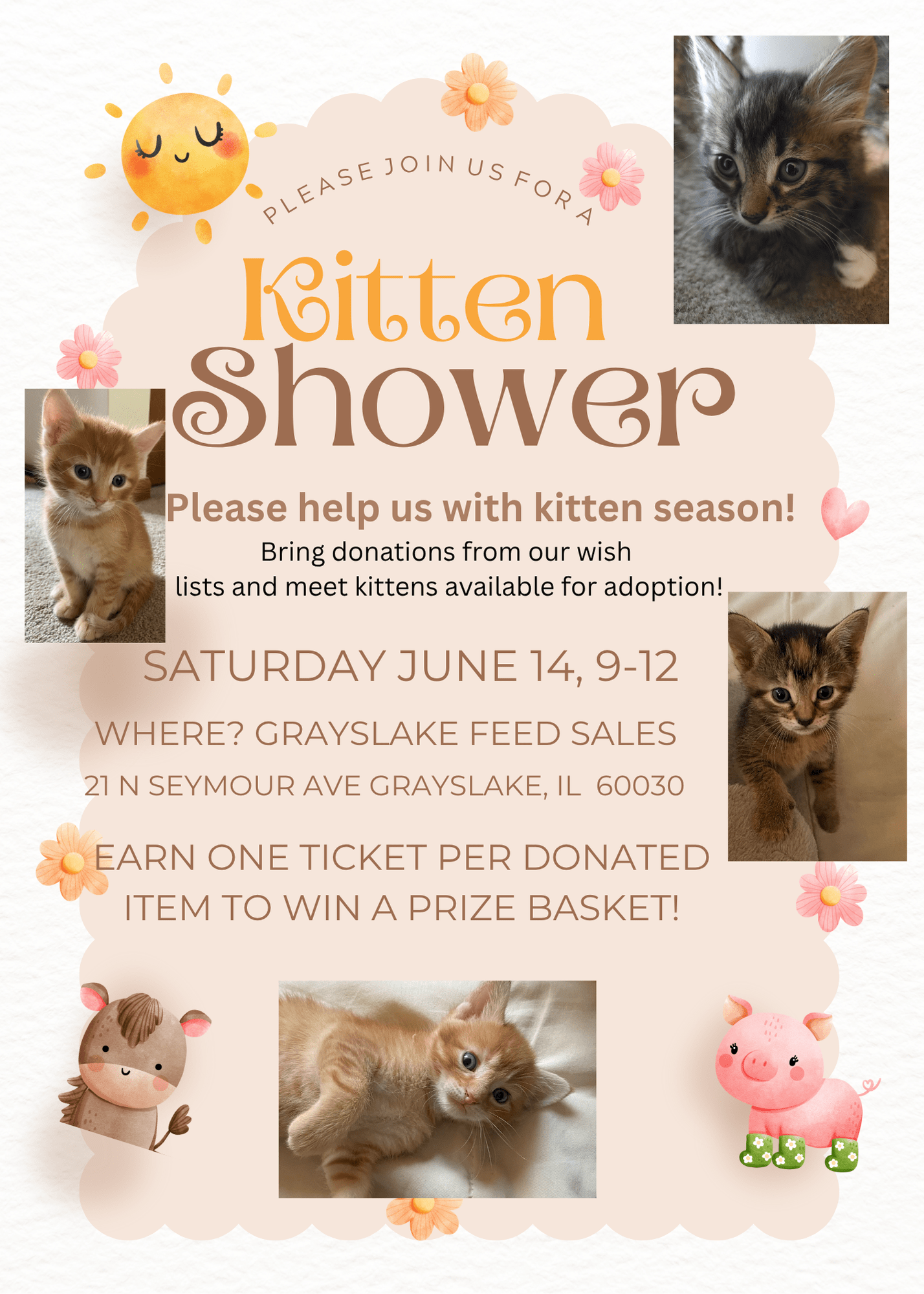 Kitten Shower and Adoption Event