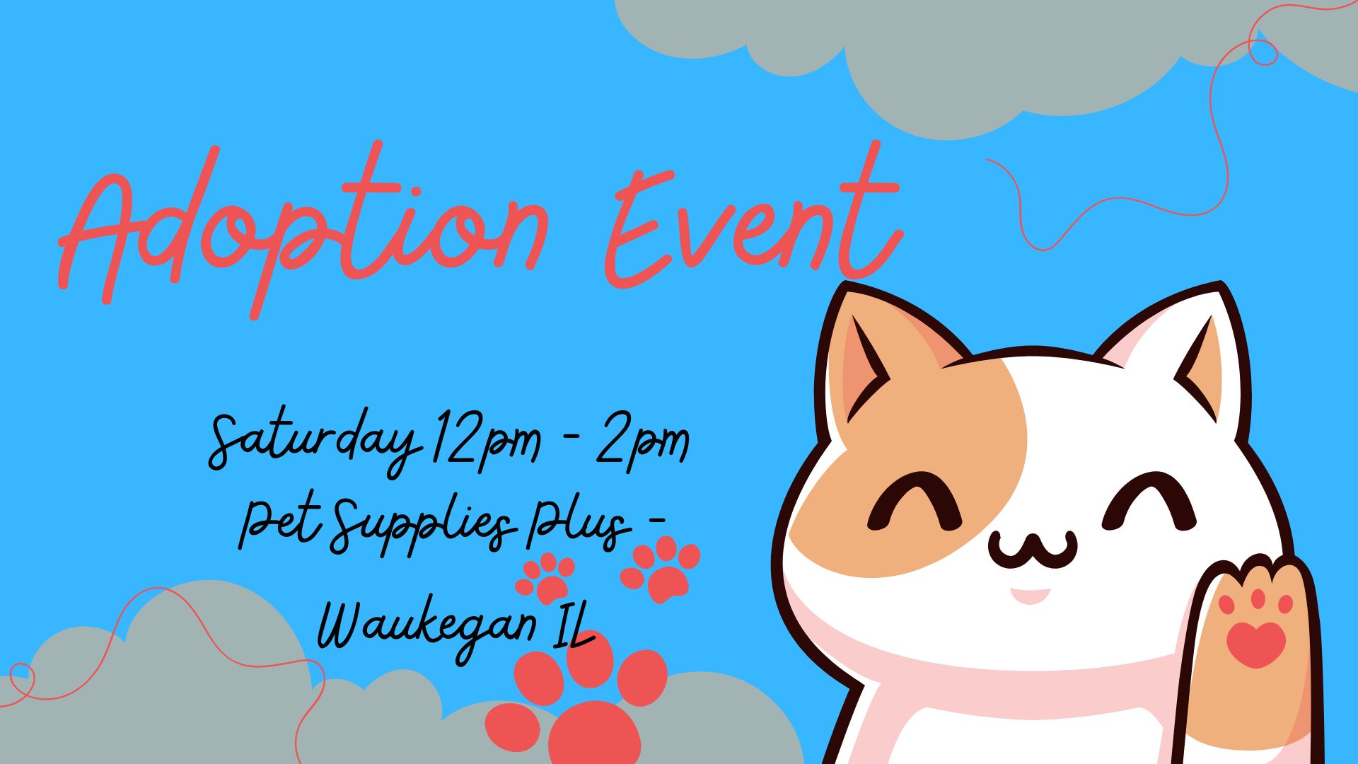 Adoption Event - Waukegan IL 1-31-26
